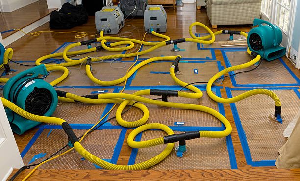 Professional Water Extraction technician working in Fort Thomas, AZ
